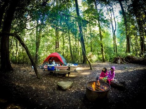 The Best Santa Cruz Camping From The Beach To The Forests