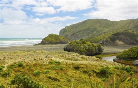Paesaggio Del Paesaggio Della Spiaggia Auckland Nuova Zelanda Di