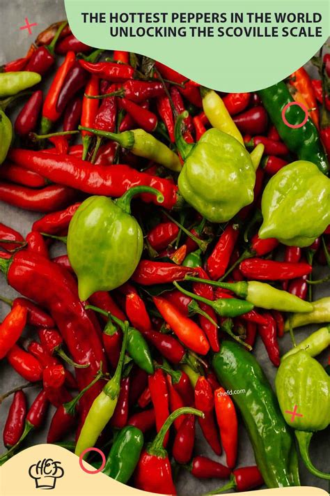 hottest peppers in the world 27 types of peppers