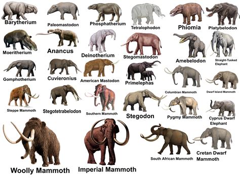 Prehistoric Elephant