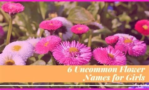 Blog 6 Uncommon Flower Names For Girls