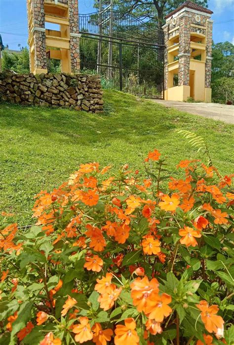 Paradise Garden Memorial Park - Baguio City, Benguet | Baguio City