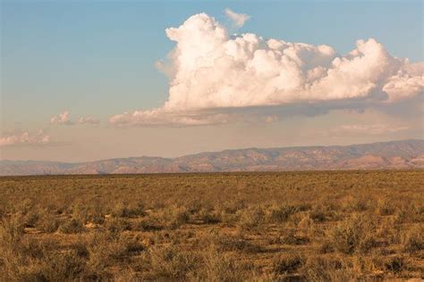 Mexican, texas or arisona desert nature at sunset, cartoon natural deserted mexico landscape with mountain, cactuses. New Mexico photography southwest photography desert | Etsy ...