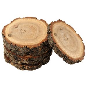 Decorative Wood Slices | Wooden Tree Slices |Buy Wood Slices png image