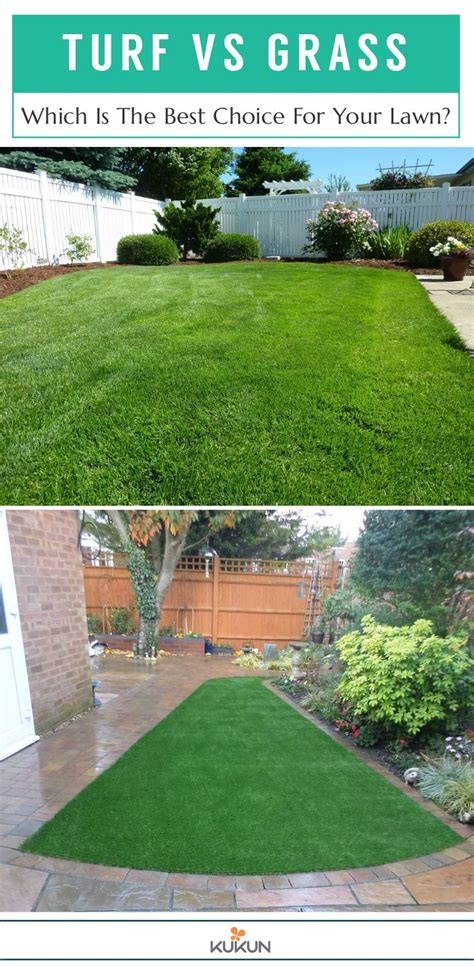 Turf Vs Grass Your Comprehensive Comparison Guide Turf Backyard