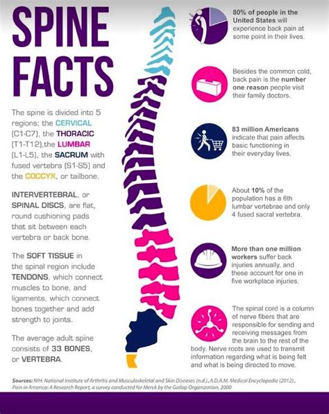 Spine And Health Backfit Health Spine Your Home For Chiropractic