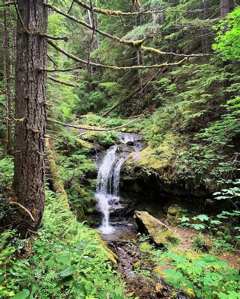 Best Waterfall Trails In Ford Pinchot National Forest
