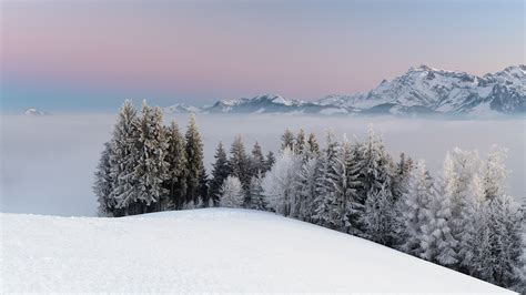 Hintergrundbilder 1920x1080 Px Wald Landschaft Nebel Berg Natur