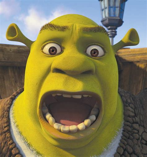 Even Shrek Is Shocked Reaction Images Know Your Meme