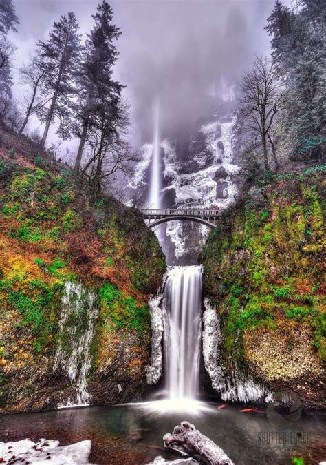 A Waterfall In The Middle Of A Forest With A Bridge Over Its Water