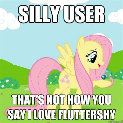 Silly User Thats Not How You Say I Love Fluttershy Love Fluttershy Quickmeme
