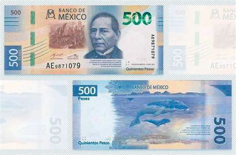benito juárez gray whale grace new 500 peso banknote