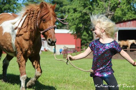 Horses Of Sunset Trails — Sunset Trails Horse Stables Lees Summit