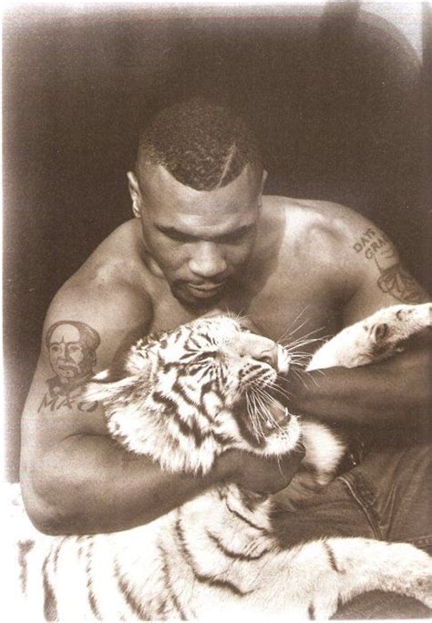 Isso Que Homi Mike Tyson Celebrity Photography Pet Tiger