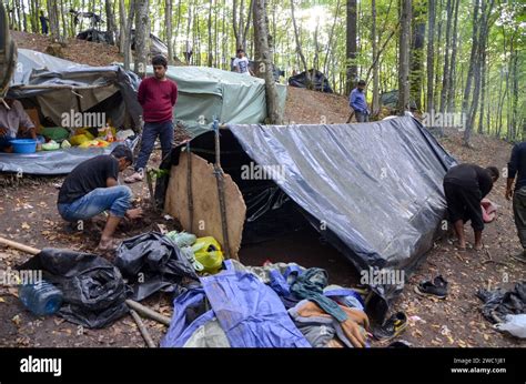 hundreds of migrants living in terrible condition in forest refugees living in makeshift tents