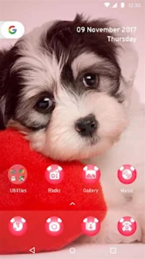 Cute Puppy Theme By Micromax Para Android Download
