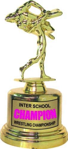 Golden Gold Plated Sports Plastic Fitted Award Trophies At Rs 216 In