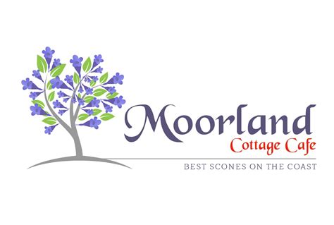 Moorland Cottage Cafe Nsw Best Scones On The Coast Moorland Nsw