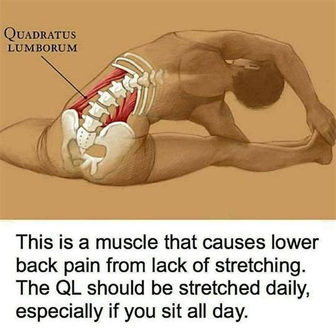 Pin On How To Fix Lower Back Pain
