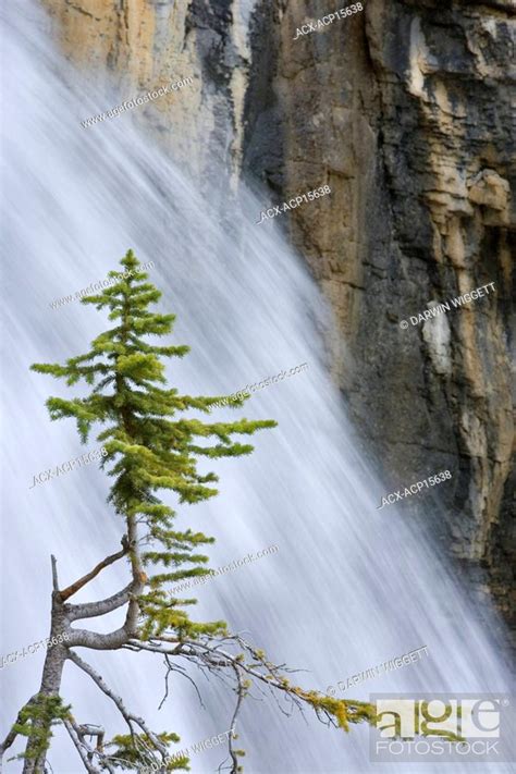 Panther Falls On Nigel Creek Banff National Park Alberta Canada Stock