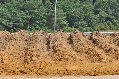 Mulai tukar poin dengan pulsa, paket data, vocher belanja, bahkan hingga smartphone dan lain sebagainya. RUSA LENGGONG: TANAM JAGUNG MANIS MADU VARIATI 1002