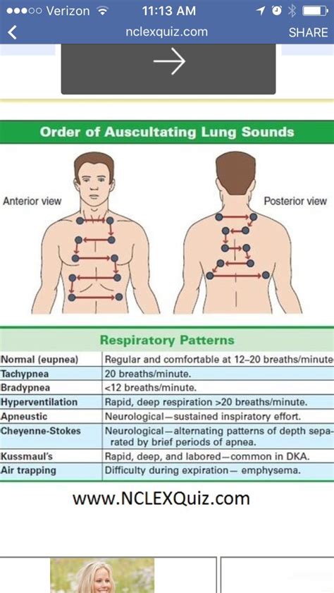 Auscultating Lung Sounds A Comprehensive Guide