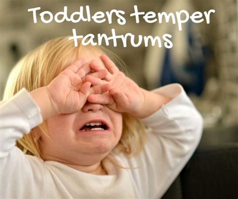 Toddler Temper Tantrums Day Care Quincy Ma A Childs View Centers