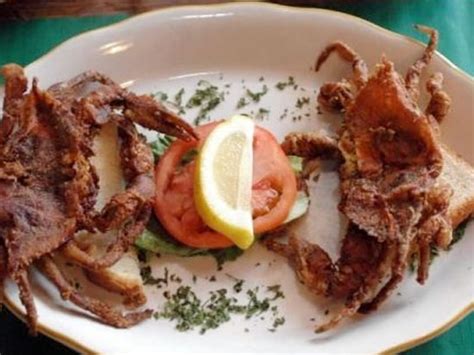 Most Popular Restaurants in Kerala | Indian Holiday