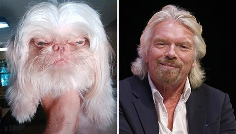 Your Attention Please 11 Dogs That Look Like Celebrities The Poke