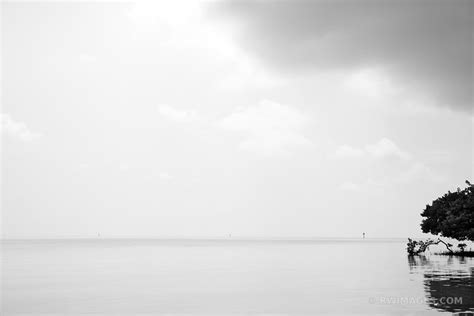 Framed Photo Print Of Annes Beach Islamorada Lower Matecumbe Key