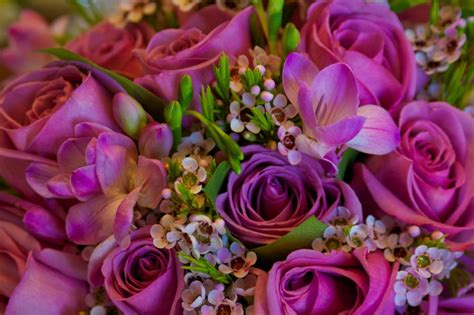 Purple Roses Lavender Wax Flowers And Purple Freesia Purple Roses