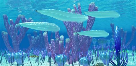 Cancer Tumours Could Help Unravel The Mystery Of The Cambrian Explosion