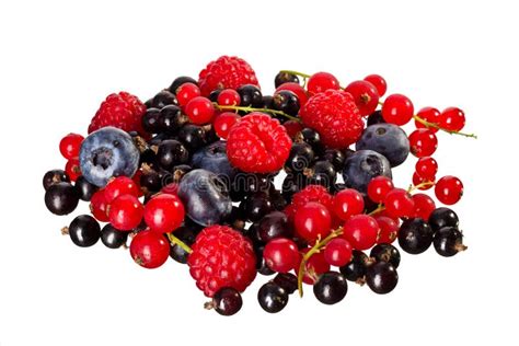 Mix Of Berry S Stock Image Image Of Blueberry Berry 15492939