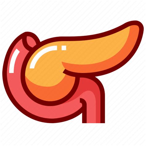 Anatomy Human Internal Organ Pancreas Icon Download On Iconfinder