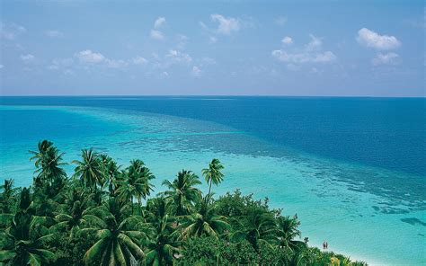south ari atolls alifu dhaalu the maldives expert