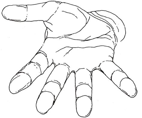 Hand Outline Template Printable Hand Outline Hand Drawing Reference