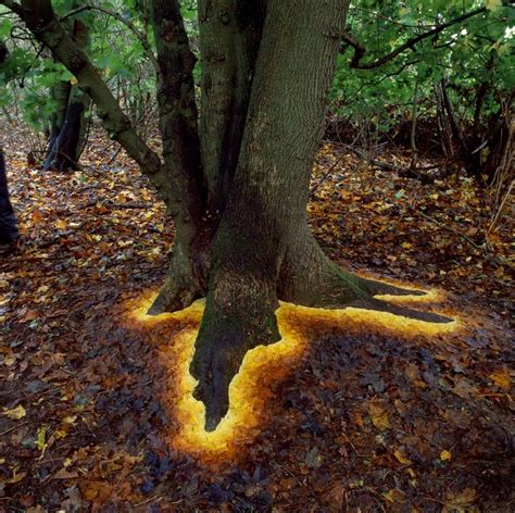 Andy Goldsworthy Natural Man Andy Goldsworthy Land Art Andy