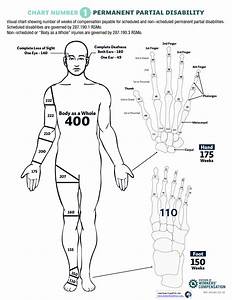 Body Chart