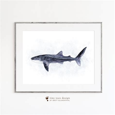 Giclée Art And Collectibles Prints Whale Shark Art Giant Of The Sea