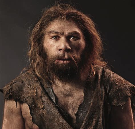 Neanderthals Used Painkillers 40000 Years Ago