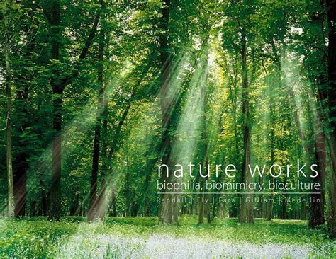 Nature Works Biophilia Biomimicry Bioculture By Loren Johnson Issuu