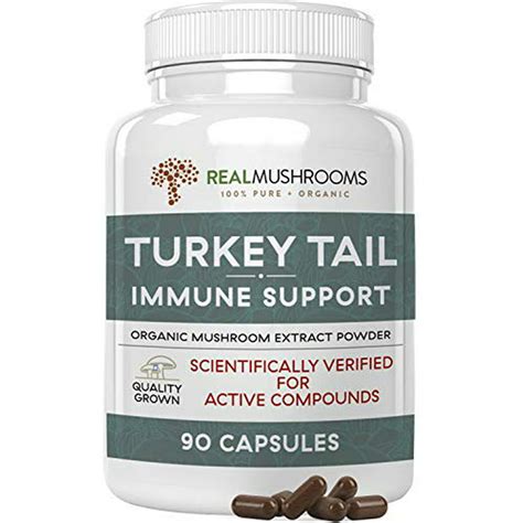 real mushrooms turkey tail mushroom supplements for immune support wellness vitality vegan