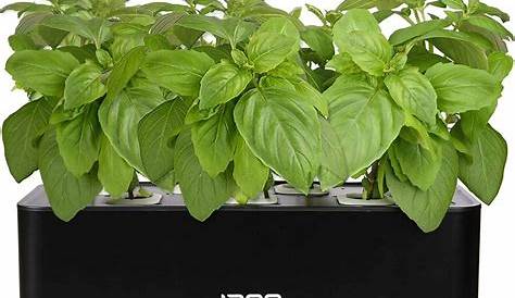 idoo hydroponics growing system manual