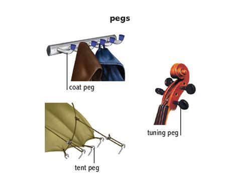 Peg1 Noun Definition Pictures Pronunciation And Usage Notes