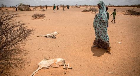Without Urgent Assistance Somalia Is Projected To Face Its Second Famine In Just Over A Decade