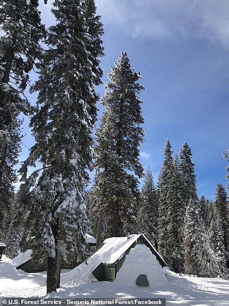 120 Guests Are Freed After Blizzard Left Them Trapped In A California Ski Lodge For Five Days