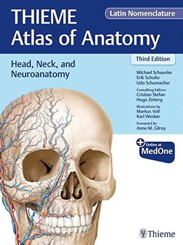 Head Neck And Neuroanatomy Thieme Atlas Of Anatomy Latin Nomenclature