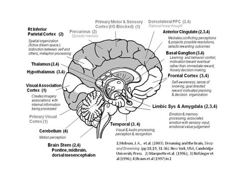 Maybe you would like to learn more about one of these? Brain Jack Image: กรกฎาคม 2013