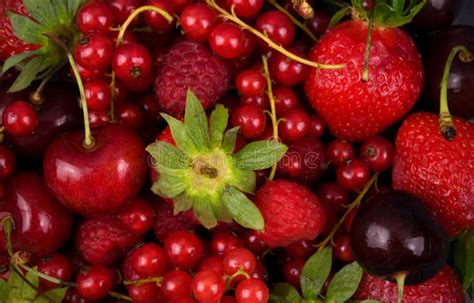 Fresh Red Fruit Stock Photo Image Of Diet Healthy Macro 15075488
