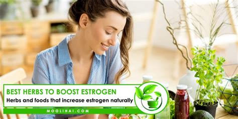 Best Herbs And Phytoestrogens To Boost Estrogen Moolihai Com
